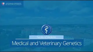 Prof. Ugenskienė about Medical and Veterinary Genetics program at LSMU