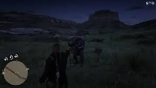 Testing a blind man with gun {rdr2}