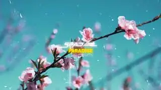 Spadez - Paradise (Visualizer)