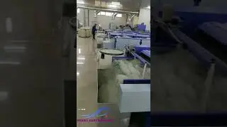 Wool Garnetting Machine/ Cashmere Dehairing Machine for Yak, Camel, Sheep Wool Llama Cashmere