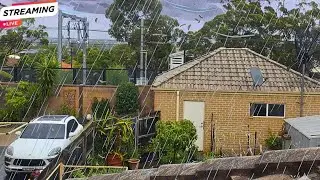 🔴 LIVE Rainy Day in Sydney 🌧️ Relaxing Backyard View | Australian Weather & Visual Ambience