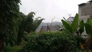 Peaceful Forest Garden ASMR Green Nature, Calm Village Ambience #garden #nature