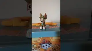 PAW Patrol toy collection #53: #gachapon #Tracker from #Japan ! #Cute ! #toy #pawpatrol #パウパト #ガチャポン