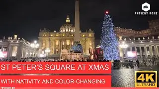 St. Peter’s Square at Christmas 🎄✨ | Color-Changing Tree, Life-Size Nativity & Winter Night Magic