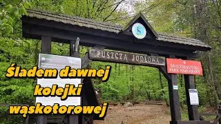Góry Świętokrzyskie na rowerze - ŚPN - śladem dawnej kolejki wąskotorowej