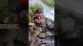 Fish after rain #shorts #fishing #short #fishing #animals #rain