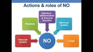 NITRIC OXIDE