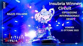 INTERNAZIONALE DESIO - INSUBRIA WINNER CIRCUIT 2025 - RAZZE ITALIANE