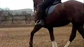 tilly buddy steffi zenny.wmv