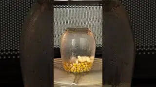 #satisfying #experiment