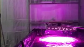 LightMover Trial Run