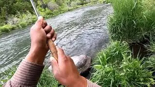Pit River Fly Fishing May 2020 | When You Know There's One In There