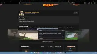 TeamHoly Tutorial How to Unlink your Discord Account and Link a different one