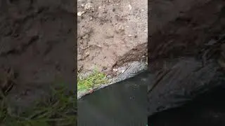 Water runoff onto my property