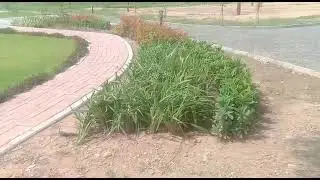 Defence Complex Islamabad, FiddleWood Garden