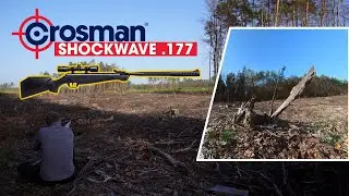 Crosman Shockwave .177 | Plinking & shooting bottles | Crosman Shockwave a good beginners air rifle.