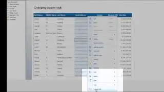 Column Widths