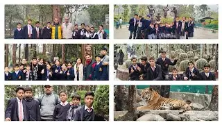 Picnic to Dehradun Zoo ( DAY 2) : ARMY PUBLIC SCHOOL RAIWALA