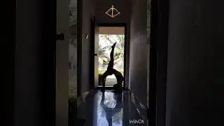 Upward facing bow / Urdhva Dhanurasana (elbows down, one leg up)