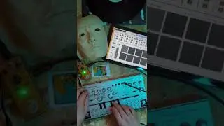 iPad Vatanator and TD3 Jam!! #techno #technoartist #vatanator #ipadmusic #td3 #behringer #jygogatron