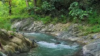 4K-HDR | Relaxing River Flow Ambience to Fall Asleep Fast | Nature Water Sounds for Stress Relief