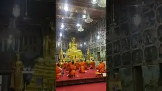 Monk activity, pray in the evening #bangkok #buddha #buddhist #thailand #temple