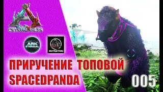 #005: Приручение топовой SPACEDPANDA - Сервер Ortega (Eternal+Extintion)