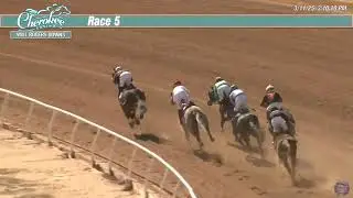 Horse Racing Demo Reel 2025