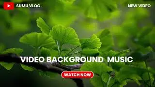 Sad Background Music | @SUMUVLOG1 #sumuvlog1 
