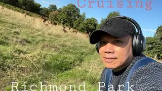 Explore Richmond Park #londonvlog #richmond #cruising #adventure #nature #nationalpark #wildanimals