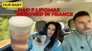 **Lipoma Removal for Our Dog: France Saved Us 75%! 🇫🇷 | Better Vet, Quarter the Cost**