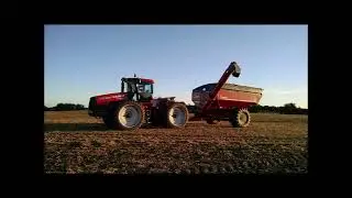 Kohnen Farms 2015