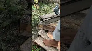 Chainsaw Tricks You&rsquo;ve Never Seen Before!