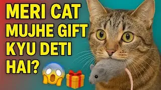 Cat Gifts You Dead Animals 😱 | Why Your Cat Brings You Dead Animals | Cat Behavior Explained