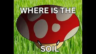 Coming Out of Retirement (Drawing a mushroom)