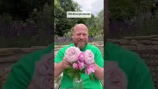 Personal growing review review of Rose &ldquo;spirit of freedom&rdquo; from @david_austin_roses #gardenerben