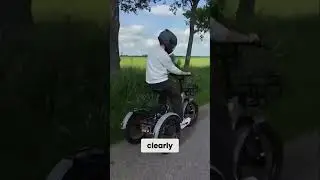 Three-Wheeled E-Bike: Comfort & Cargo! This Thing Is Amazing!