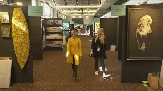 Eden Park transforms from home of sport to home of art