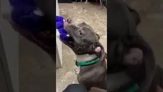 Snack playing!