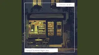 Mellow Midnight Flow