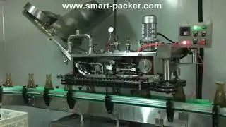 Fruit juice glass bottle automatic high speed vacuum capping machine with metal lids tank