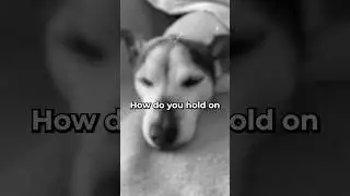 How do you hold on without holding them? #petlossgrief
