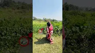 Catch big size monster in village mud canal using fishing rod #fish #fishingtips #bass #monster #yt