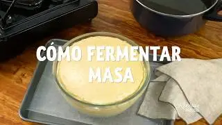 C&Oacute;MO FERMENTAR MASA