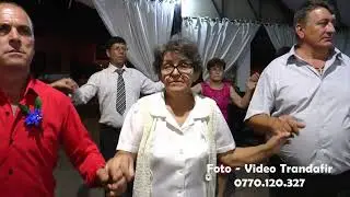 Colaj Hora Restaurant Intim Motru
