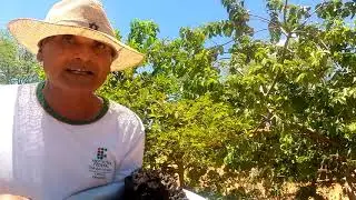 Véi Ná mostrando os benefícios do mél de Arapuá