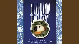Black Radio
