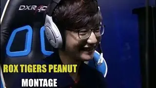 ROX Tigers Peanut Montage