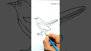 Magpie Drawing Easy||দোয়েল পাখি আঁকা #showrin'sart #magpiedrawing #bird #drawing #shorts #sketch
