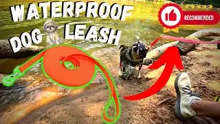Waterproof Dog Training Leash Amazon - Review